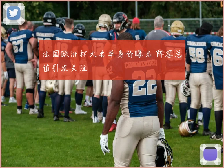法国欧洲杯大名单身价曝光 阵容总值引发关注