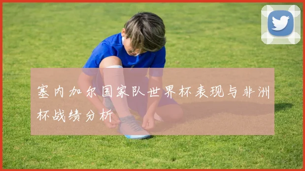 塞内加尔国家队世界杯表现与非洲杯战绩分析