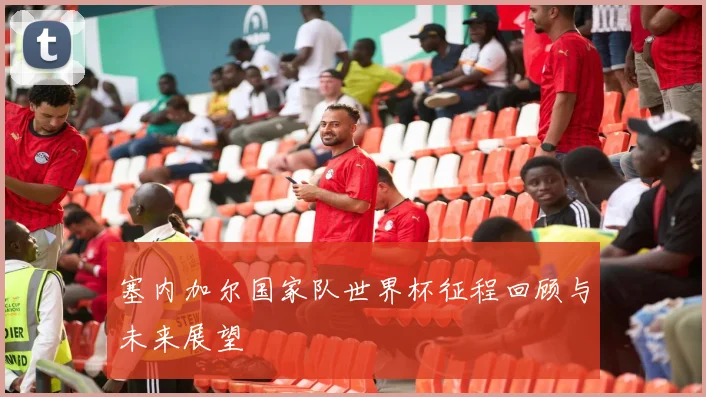塞内加尔国家队世界杯征程回顾与未来展望